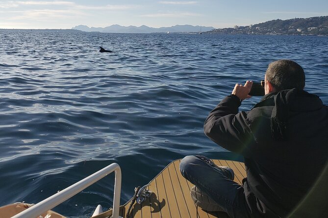 Private Solar Catamaran Cruise in Antibes Juan Les Pins - Customer Reviews and Accolades