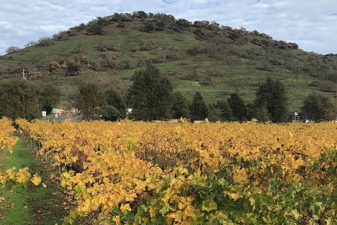 Private Sonoma and Napa Wine Tour From San Francisco - Accessibility and Policies