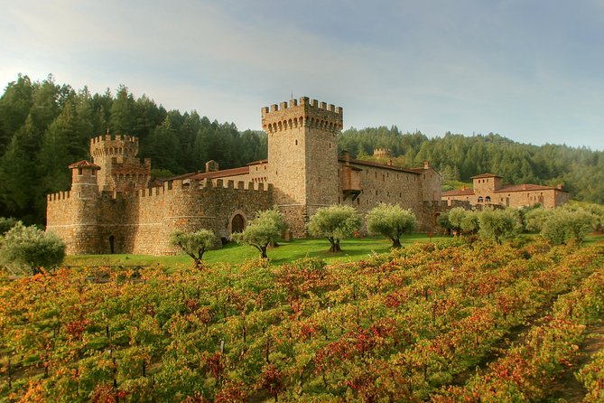 Private Sonoma and Napa Wine Tour Including Custom Concierge - Winery Visits and Tastings