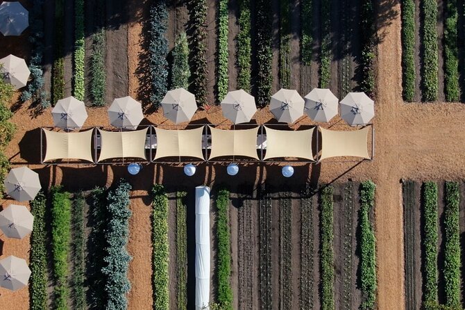 Private Sonoma Wine Tour up to 6 Guests - Inclusions