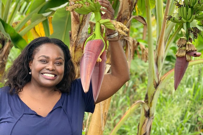 Private Soufriere Experience Tour - Journey to the Pitons