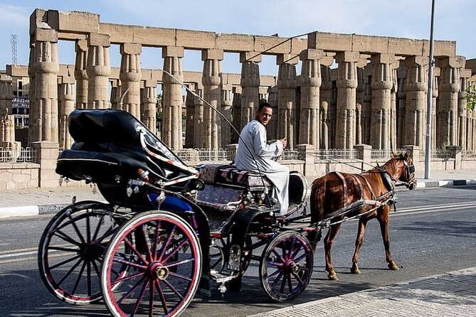 Private Sound and Light Show and Luxor City Tour by Carriage (3 * 1) - Pricing and Availability