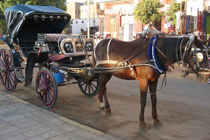Private Sound and Light Show and Luxor City Tour by Carriage (3 * 1) - Discovering Luxor City by Carriage