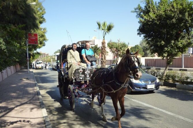Private Sound and Light Show and Luxor City Tour by Carriage (3 * 1) - Highlights and Recommendations