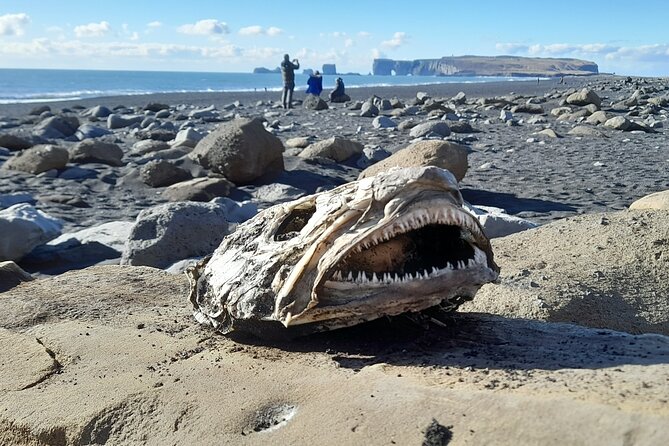 Private South Coast and Katla Ice Cave Tour - Health and Safety Information