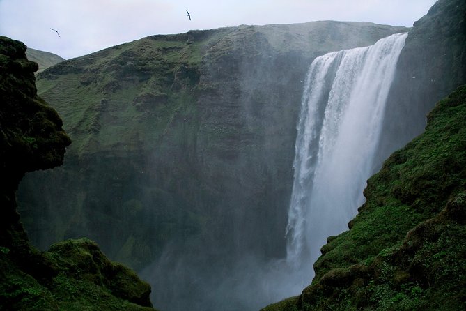 Private South Coast Tour in Iceland - Pickup and Accessibility