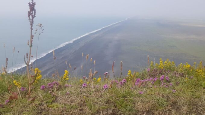 Private South Coast Tour - Booking and Cancellation