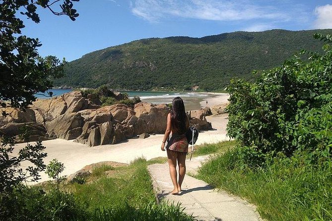 Private South Island Beaches and Lagoons Tour - Tour Overview and Experience