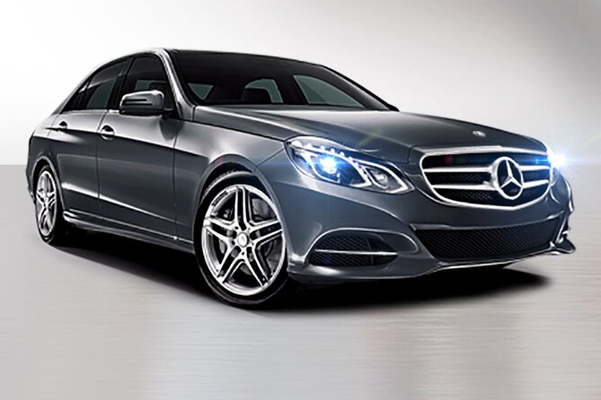 Private South Tenerife Airport Transfer to South Hotels - Customization Options