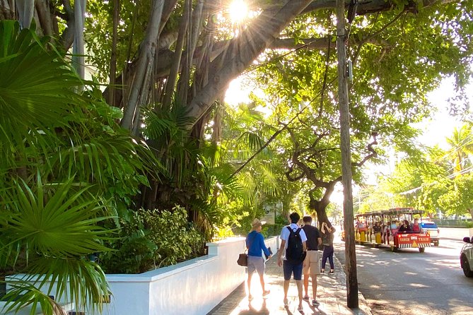 Private Southernmost Key West History and Culture Walking Tour - Highlights of the Tour