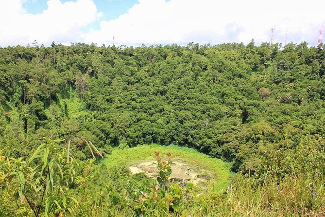 Private Southwest Day Tour: 7-Coloured Earth, Chamarel Waterfall, Trou Aux Cerfs - Included Services