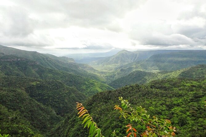 Private Southwest Tour With Local Lunch & Rum Tasting - Savoring Local Mauritian Cuisine