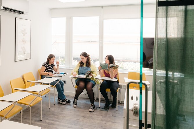Private Spanish Classes in Madrid - Since You Asked