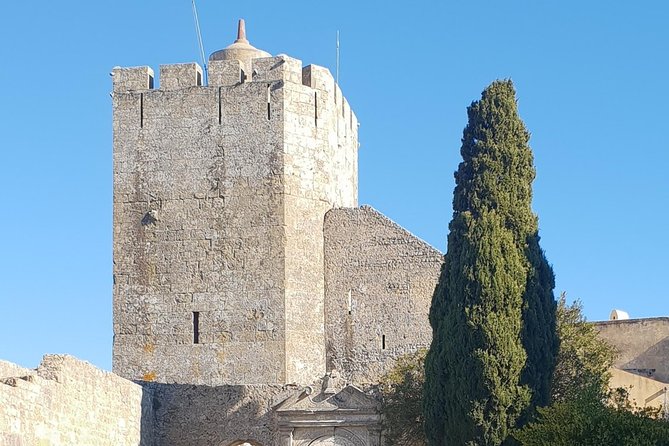 Private Special Tour Around Lisbon and Shopping Full Day - Palmela and São Filipe Castles