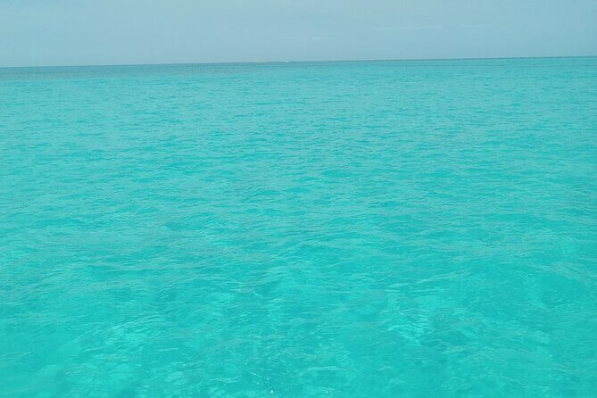 Private speed boat beach and bar hopping visiting Rose island - Key Points