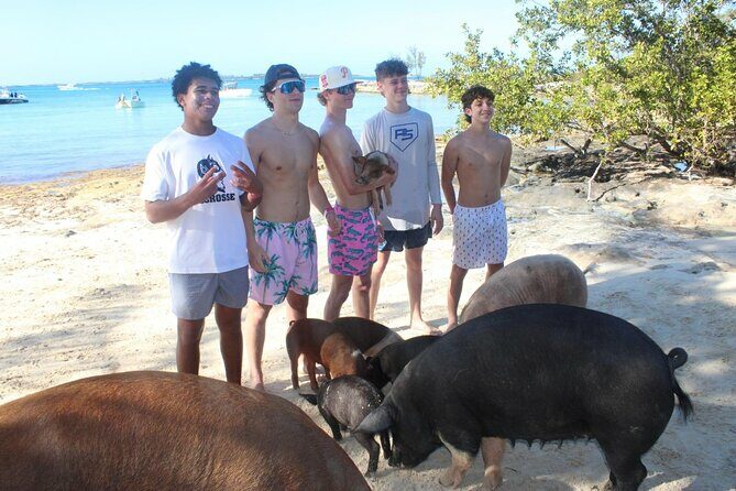 Private speed boat beach and bar hopping visiting Rose island - An In-Depth Look at the Experience