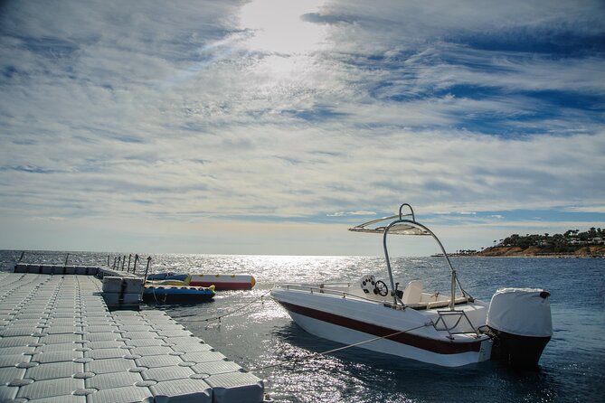 Private Speed Boat Snorkeling Trip to Tiran Island - Specific Guest Comments