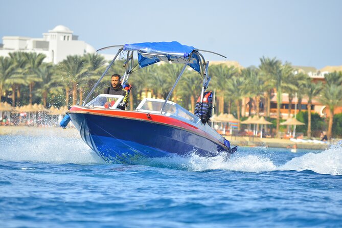 Private Speed Boat to DOLPHINS House & Water Activities -Hurghada - Key Points