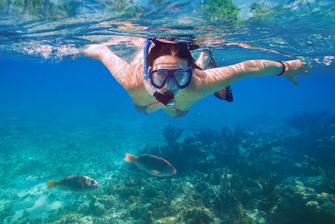 Private Speed Boat to Ile Aux Cerfs Full-Day Incl: Lunch & Transfer - Meeting and Pickup Details