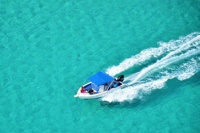 Private Speed Boat Tour and Dolphin Encounter at Ile Aux Benitier - Inclusions and Amenities