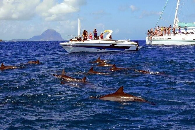 Private Speed Boat Tour and Dolphin Encounter at Ile Aux Benitier - Exploring the Dolphin Sanctuary