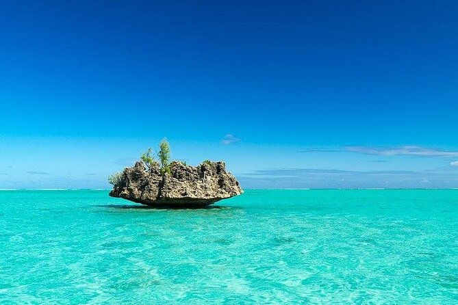 Private Speed Boat Tour and Dolphin Encounter at Ile Aux Benitier - Benitier Islet and Lunch Experience