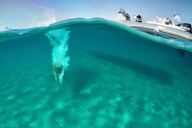 Private Speedboat Cruise From Delos to Rhenia and Mykonos - Cruise Inclusions