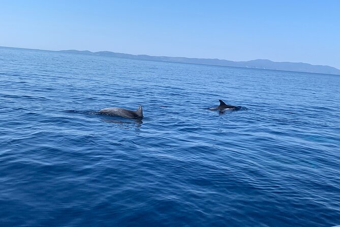 Private Speedboat Tour From Trogir or Split-Create Your Itinerary - Participant Information