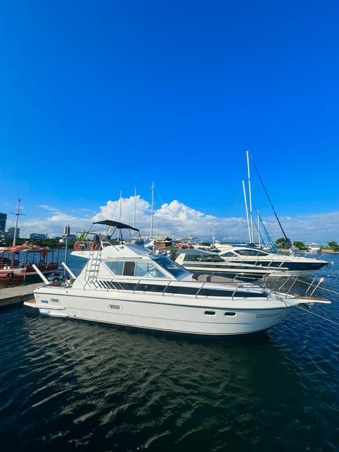 Private Speedboat Tour in Rio De Janeiro - Key Points
