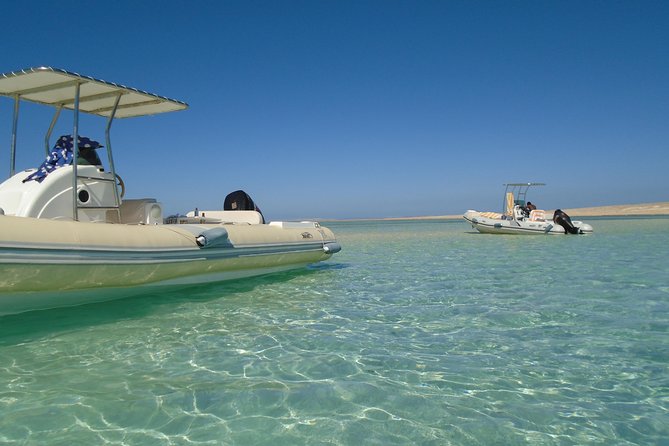 Private Speedboat Trip In Hurghada - Health and Safety Considerations