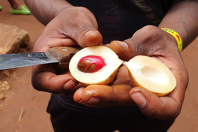 Private Spice Tour in Zanzibar With Pick up - Other Activities