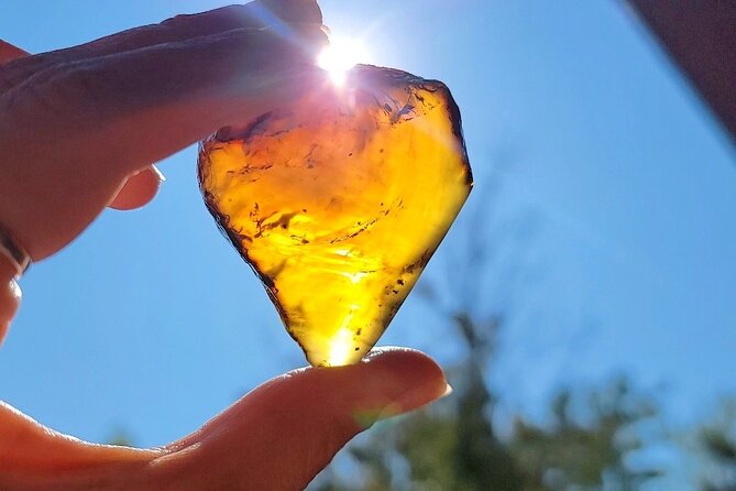 Private Spiritual and Scientific Vortex Tour - Meditation in Vortex Sites