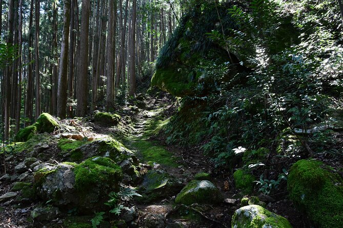 Private Spiritual Hike in Hidakamura With Mountain Monk - Duration and Transportation