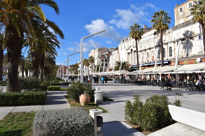 Private Split Walking Tour With Diocletians Palace - Meeting Point and Duration