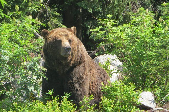Private Squamish Day Trip - Booking Confirmation and Cancellation