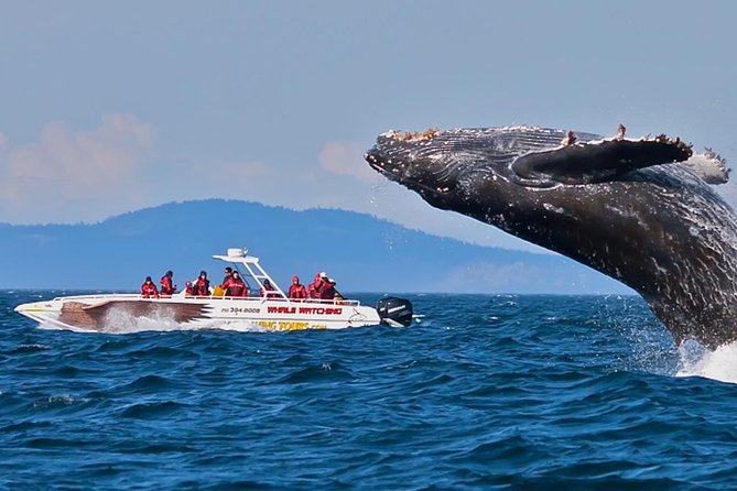 Private Sri Lanka Pearl of the Indian Ocean 14-Day Tour  - Colombo - Wildlife Encounters and Nature Exploration