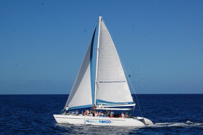 Private St Lucia Full Day Snorkeling Charter for Up to 15 Guests - Customizable Snorkeling Exploration