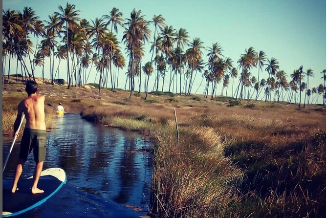 Private Stand Up Paddle and Kayak Tour on the Imbassaí River - Key Points