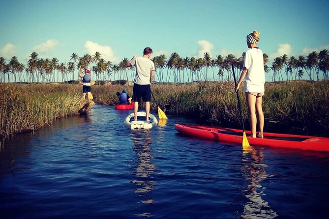 Private Stand Up Paddle and Kayak Tour on the Imbassaí River - Inclusions