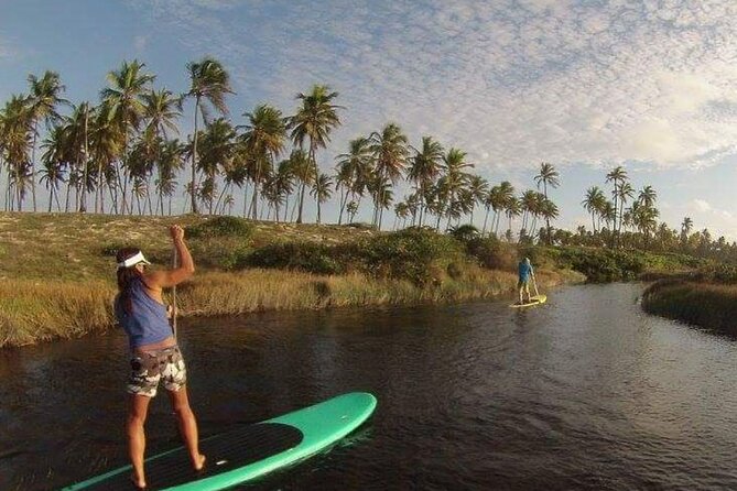 Private Stand Up Paddle and Kayak Tour on the Imbassaí River - Key Points