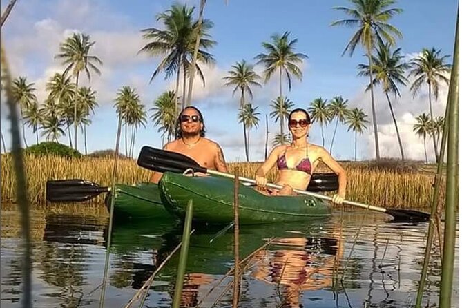 Private Stand Up Paddle and Kayak Tour on the Imbassaí River - Meeting and Pickup