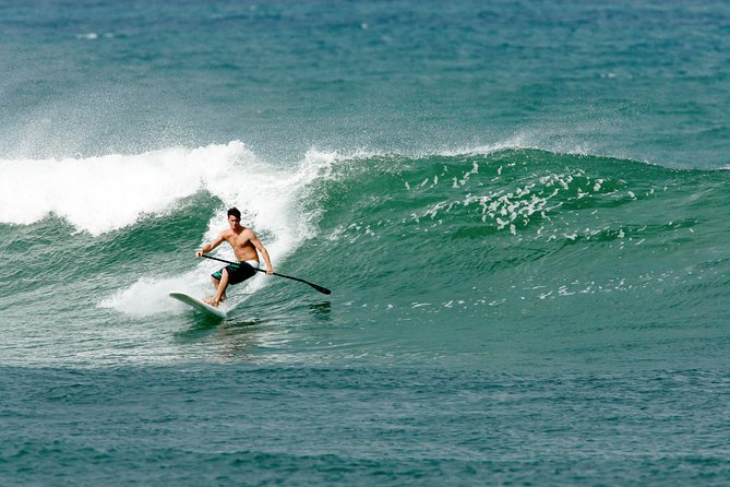 Private Stand Up Paddle Lesson - Online Student Resources