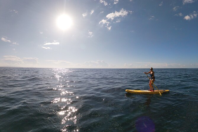 Private Stand Up Paddle Tour in Câmara De Lobos - Cancellation Policy and Pricing