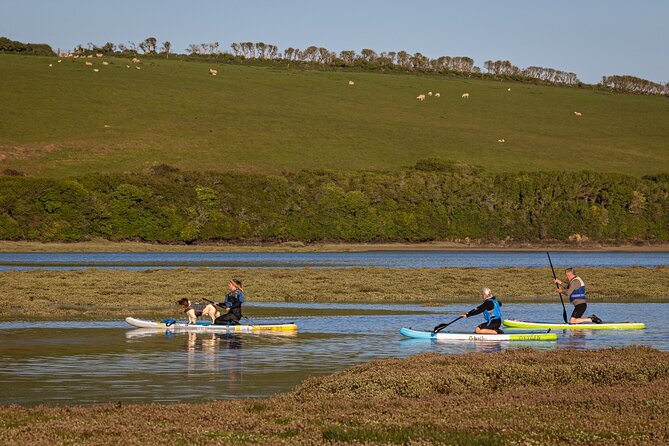 Private Stand-Up-Paddle Tour on the River Gannel - Unique Nature Experience