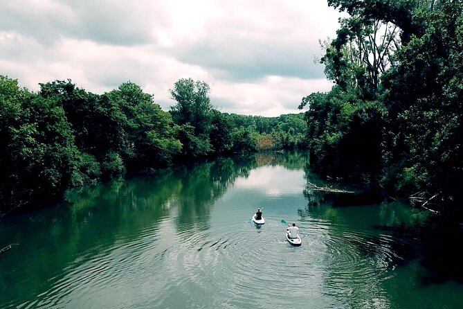 Private Stand Up Paddleboarding Trip on Dyje River - Meeting and Pickup
