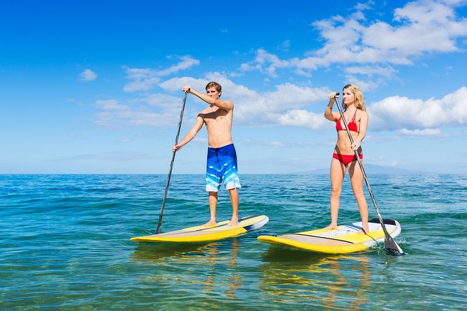 Private Stand Up Paddling Lesson in Makena - Accessibility and Booking Details