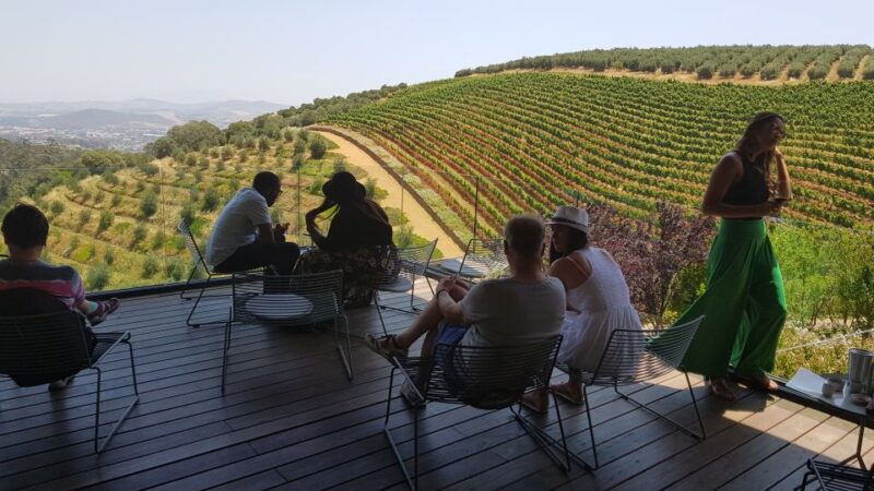 Private Stellenbosch and Franschhoek Wine Tour - Scenic Drive to Stellenbosch