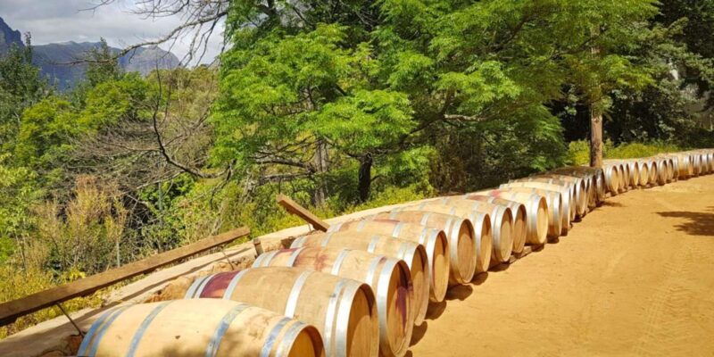 Private Stellenbosch Wine Tour - Experience and Learning