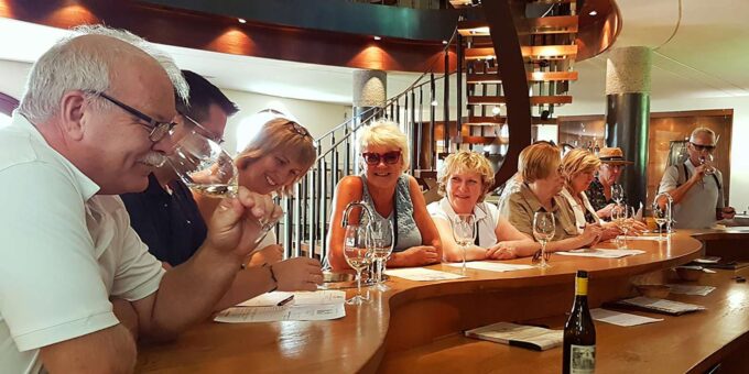 Private Stellenbosch Wine Tour - Guide and Winemaker Background