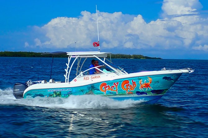 Private Stingray City and Snorkeling Full Day Charter for 6 Guest - Accessibility and Infant Policy